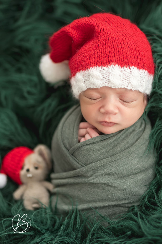 Christmas Photography Pricing Thornhill