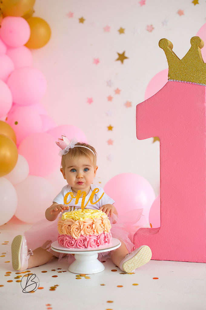 Baby Girl First Birthday Cake Smash Photographer Maple
